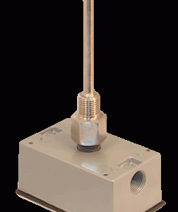 Transmitter w/ 1,000 Ohm RTD (NIST Cert), Immersion, Welded Well, 2.5", NEMA 3R Enclosure, 4-20mA Output