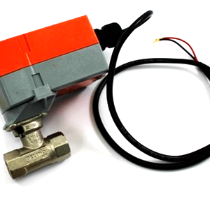 B211B+TFRB24-3-S CCV,0.5",2 Way,1.9Cv,w/ Spring Return,24V,Floating,SW