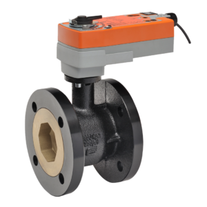 B6300S-110-250+AFRX24-MFT CCV,3",2 Way,110 Cv,w/Spring Return,24V,MFT