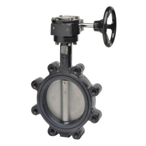 F665HD+GW01 Butterfly Valve,2.5",2 Way,196 Cv,Gear Operators