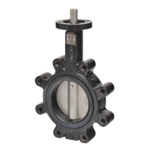 F6150HD 2-Way DI BFV, SS Disc, 6", Cv 1579