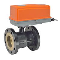 B6250S-110+ARX24-3-T N4 CCV,2.5",2 Way,110Cv,w/ Non-Spring,24V,Floating,NEMA 4H