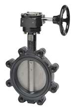 F6125HD+GW02 Butterfly Valve,5",2-Way,1022 Cv,Gear Operators
