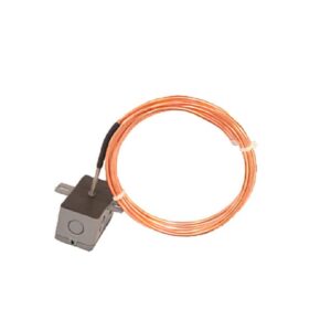 Transmitter w/ 1,000 Ohm RTD, Copper Averaging, 80', Plastic Enclosure, 4-20mA Output