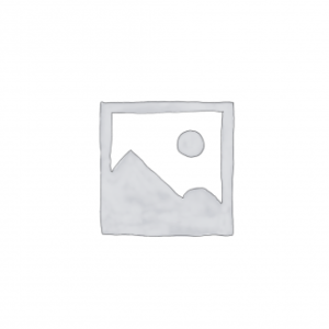 Lon FCU Room Controller: 2 Analog 0-10V