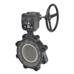 F665-150SHP+GW10 Butterfly Valve,2.5",2 Way,146 Cv,Gear Operators