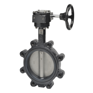 F6100HD+GW02 Butterfly Valve,4",2-Way 600 Cv,Gear Operators